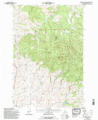 Robinson Lake Idaho Historical topographic map, 1:24000 scale, 7.5 X 7.5 Minute, Year 1994
