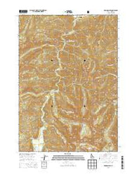 Robinson Bar Idaho Current topographic map, 1:24000 scale, 7.5 X 7.5 Minute, Year 2013