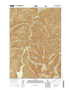 Robinson Bar Idaho Current topographic map, 1:24000 scale, 7.5 X 7.5 Minute, Year 2013