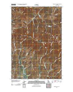 Robinson Lake Idaho Historical topographic map, 1:24000 scale, 7.5 X 7.5 Minute, Year 2010