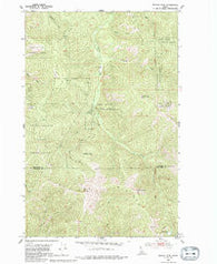 Rochat Peak Idaho Historical topographic map, 1:24000 scale, 7.5 X 7.5 Minute, Year 1950
