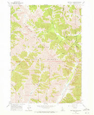 Rock Roll Canyon Idaho Historical topographic map, 1:24000 scale, 7.5 X 7.5 Minute, Year 1967