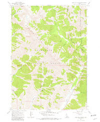 Rock Roll Canyon Idaho Historical topographic map, 1:24000 scale, 7.5 X 7.5 Minute, Year 1967