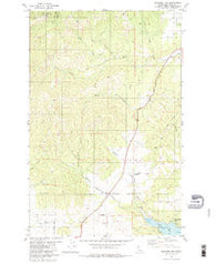 Rockford Bay Idaho Historical topographic map, 1:24000 scale, 7.5 X 7.5 Minute, Year 1981