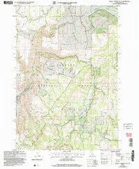 Rocky Comfort Flat Idaho Historical topographic map, 1:24000 scale, 7.5 X 7.5 Minute, Year 2004