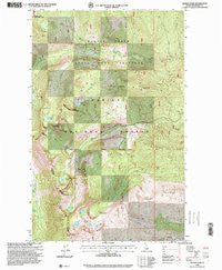 Roman Nose Idaho Historical topographic map, 1:24000 scale, 7.5 X 7.5 Minute, Year 1996