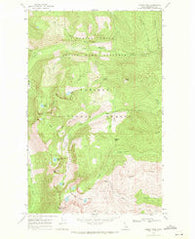 Roman Nose Idaho Historical topographic map, 1:24000 scale, 7.5 X 7.5 Minute, Year 1967