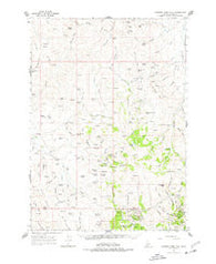 Rooster Comb Peak Idaho Historical topographic map, 1:62500 scale, 15 X 15 Minute, Year 1965