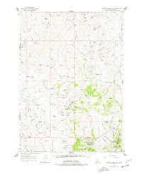 Rooster Comb Peak Idaho Historical topographic map, 1:62500 scale, 15 X 15 Minute, Year 1965