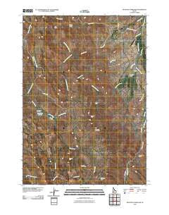 Rooster Comb Peak Idaho Historical topographic map, 1:24000 scale, 7.5 X 7.5 Minute, Year 2010