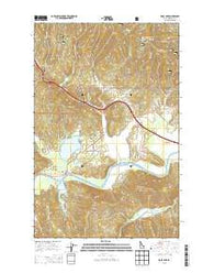 Rose Lake Idaho Current topographic map, 1:24000 scale, 7.5 X 7.5 Minute, Year 2013