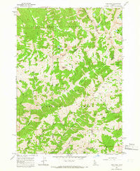 Ross Peak Idaho Historical topographic map, 1:24000 scale, 7.5 X 7.5 Minute, Year 1964