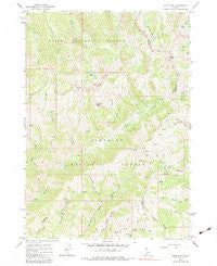 Ross Peak Idaho Historical topographic map, 1:24000 scale, 7.5 X 7.5 Minute, Year 1964
