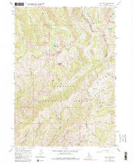 Ross Peak Idaho Historical topographic map, 1:24000 scale, 7.5 X 7.5 Minute, Year 1964