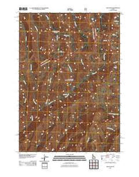 Ross Peak Idaho Historical topographic map, 1:24000 scale, 7.5 X 7.5 Minute, Year 2011