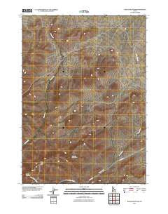 Rough Mountain Idaho Historical topographic map, 1:24000 scale, 7.5 X 7.5 Minute, Year 2010