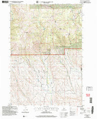 Rush Peak Idaho Historical topographic map, 1:24000 scale, 7.5 X 7.5 Minute, Year 2004