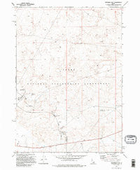 Ryegrass Flat Idaho Historical topographic map, 1:24000 scale, 7.5 X 7.5 Minute, Year 1973