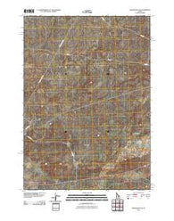 Ryegrass Flat Idaho Historical topographic map, 1:24000 scale, 7.5 X 7.5 Minute, Year 2010