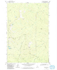 Sabe Mtn Idaho Historical topographic map, 1:24000 scale, 7.5 X 7.5 Minute, Year 1979