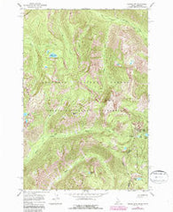 Saddle Mountain Idaho Historical topographic map, 1:24000 scale, 7.5 X 7.5 Minute, Year 1966