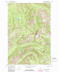 Saddle Mountain Idaho Historical topographic map, 1:24000 scale, 7.5 X 7.5 Minute, Year 1966