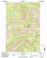 Saddle Mountain Idaho Historical topographic map, 1:24000 scale, 7.5 X 7.5 Minute, Year 1995