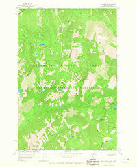 Saddle Mtn. Idaho Historical topographic map, 1:24000 scale, 7.5 X 7.5 Minute, Year 1966
