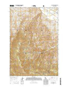 Sal Mountain Idaho Current topographic map, 1:24000 scale, 7.5 X 7.5 Minute, Year 2013