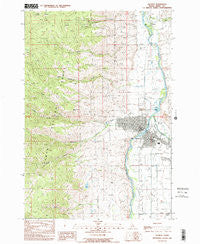 Salmon Idaho Historical topographic map, 1:24000 scale, 7.5 X 7.5 Minute, Year 1989