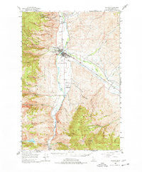 Salmon Idaho Historical topographic map, 1:62500 scale, 15 X 15 Minute, Year 1950