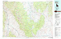Salmon Idaho Historical topographic map, 1:100000 scale, 30 X 60 Minute, Year 1981