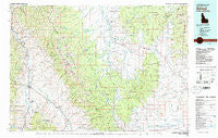 Salmon Idaho Historical topographic map, 1:100000 scale, 30 X 60 Minute, Year 1981