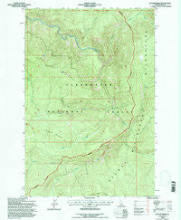 Savage Ridge Idaho Historical topographic map, 1:24000 scale, 7.5 X 7.5 Minute, Year 1994