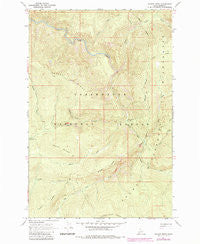 Savage Ridge Idaho Historical topographic map, 1:24000 scale, 7.5 X 7.5 Minute, Year 1966