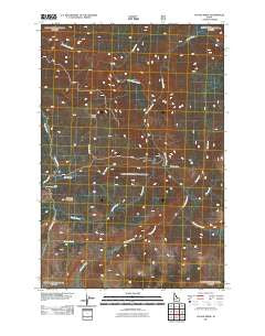 Savage Ridge Idaho Historical topographic map, 1:24000 scale, 7.5 X 7.5 Minute, Year 2011