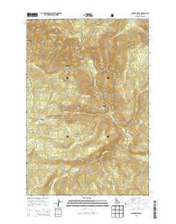 Savage Ridge Idaho Current topographic map, 1:24000 scale, 7.5 X 7.5 Minute, Year 2013