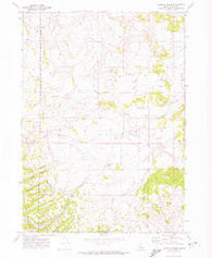 Sawmill Creek Idaho Historical topographic map, 1:24000 scale, 7.5 X 7.5 Minute, Year 1971