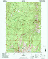 Sawyer Ridge Idaho Historical topographic map, 1:24000 scale, 7.5 X 7.5 Minute, Year 1995