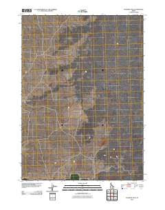 Schodde Well Idaho Historical topographic map, 1:24000 scale, 7.5 X 7.5 Minute, Year 2010