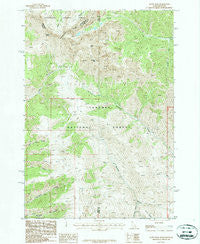 Scott Peak Idaho Historical topographic map, 1:24000 scale, 7.5 X 7.5 Minute, Year 1987