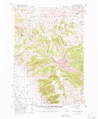 Scott Peak Idaho Historical topographic map, 1:62500 scale, 15 X 15 Minute, Year 1957