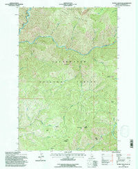 Scurvy Mountain Idaho Historical topographic map, 1:24000 scale, 7.5 X 7.5 Minute, Year 1994