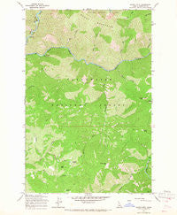 Scurvy Mtn. Idaho Historical topographic map, 1:24000 scale, 7.5 X 7.5 Minute, Year 1965