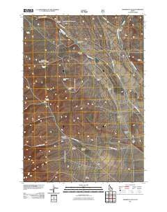 Shamrock Gulch Idaho Historical topographic map, 1:24000 scale, 7.5 X 7.5 Minute, Year 2011