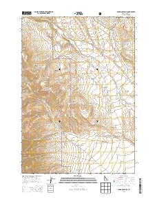 Shamrock Gulch Idaho Current topographic map, 1:24000 scale, 7.5 X 7.5 Minute, Year 2013