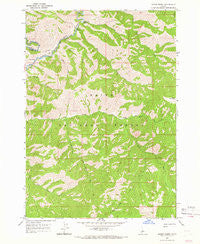 Sheep Creek Idaho Historical topographic map, 1:24000 scale, 7.5 X 7.5 Minute, Year 1964