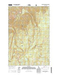 Sheepeater Mountain Idaho Current topographic map, 1:24000 scale, 7.5 X 7.5 Minute, Year 2013