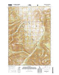 Sheephorn Peak Idaho Current topographic map, 1:24000 scale, 7.5 X 7.5 Minute, Year 2013