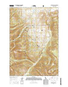 Sheephorn Peak Idaho Current topographic map, 1:24000 scale, 7.5 X 7.5 Minute, Year 2013